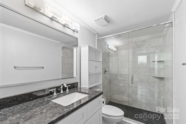 a bathroom with a granite countertop sink toilet a mirror and shower