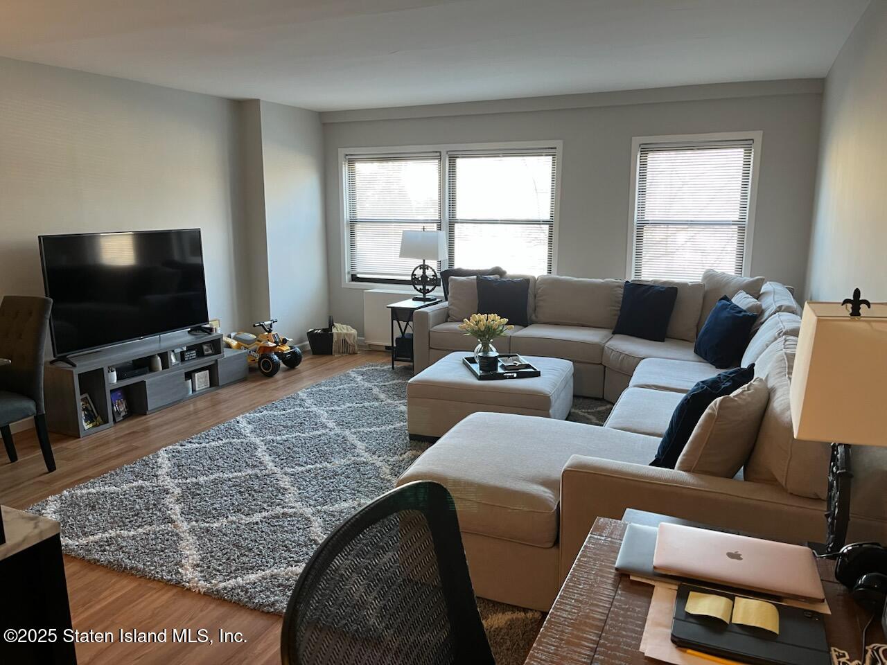 1100 Clove Road, Unit 2E Staten Island, NY 10301 - Photo 11 of 37 Living Room