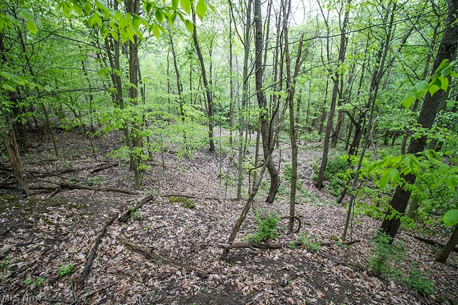 Springfield Road North Lima, OH 44452 - Photo 25 of 35