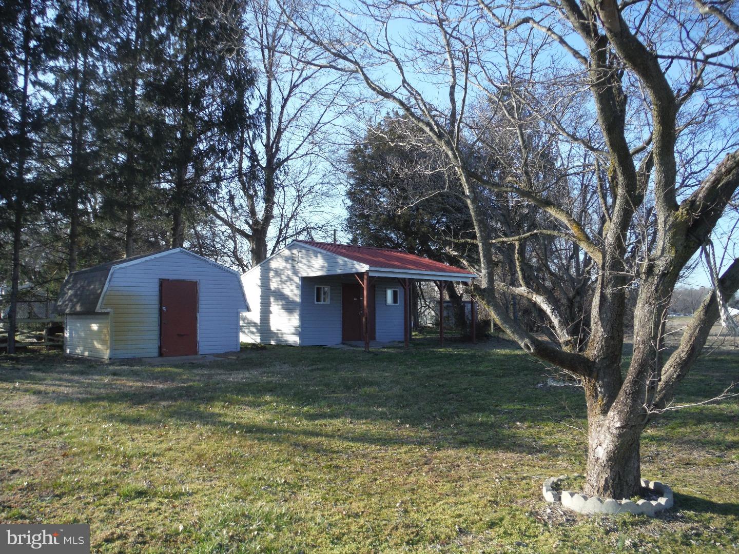 423 Carpenter Bridge Road Harrington, DE 19952 - Photo 3 of 20 Storage Shed