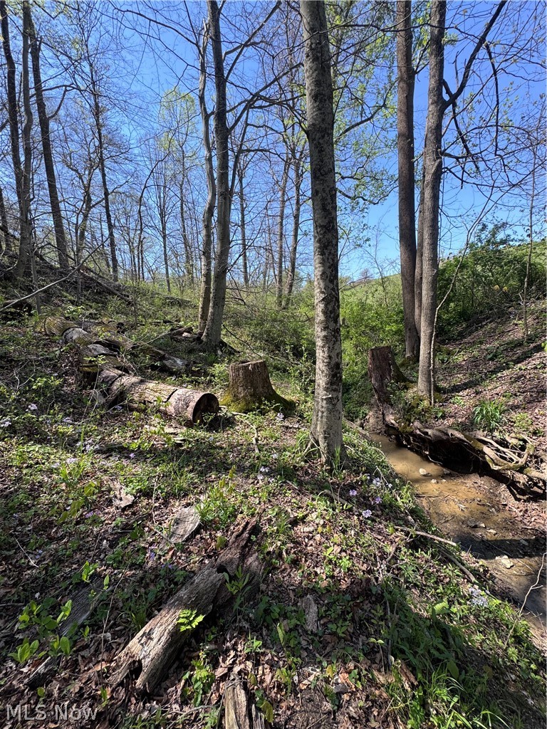 397 South Elliott Road Malta, OH 43758 - Photo 19 of 37