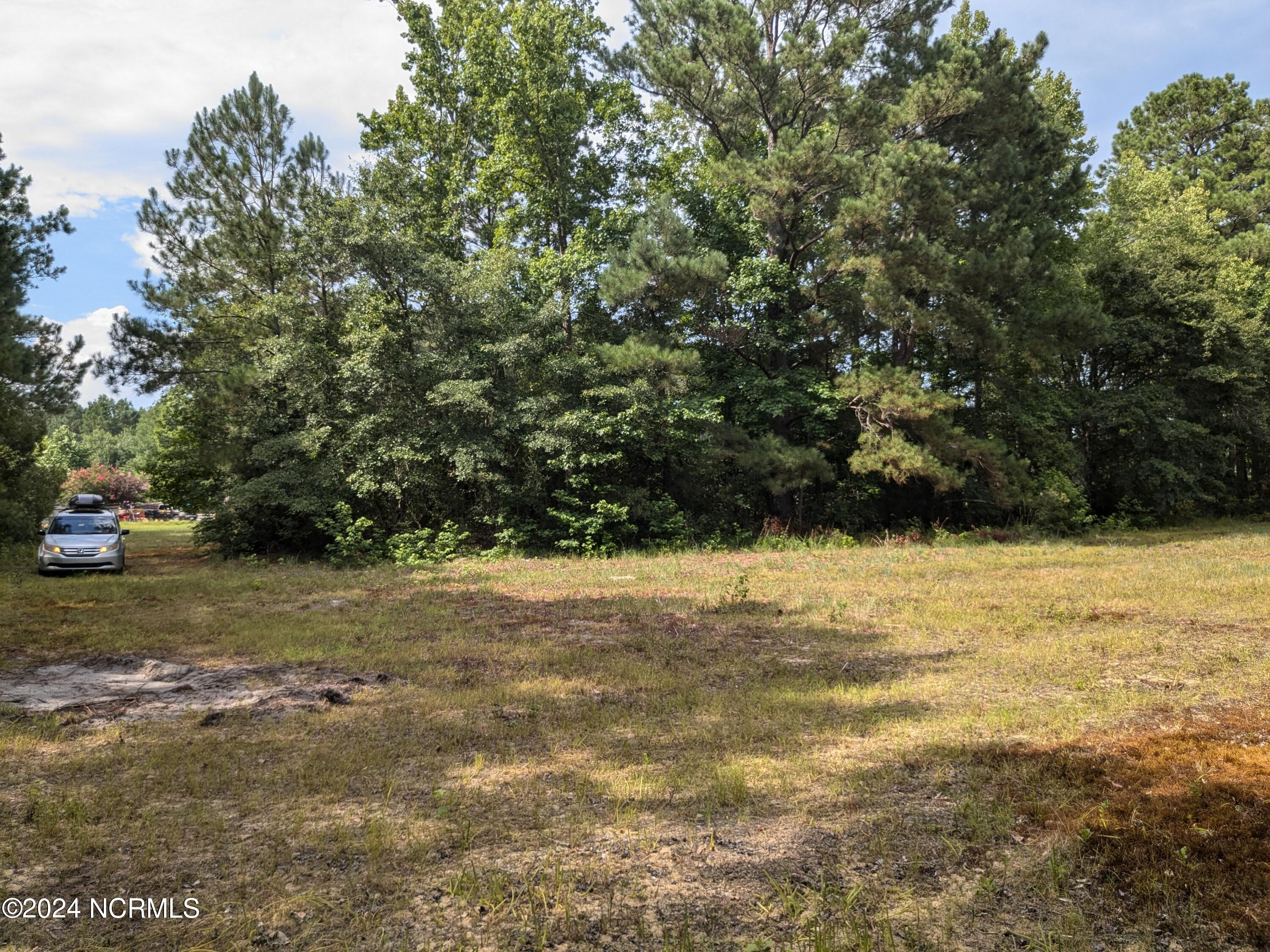 0 Montague Road Currie, NC 28435 - Photo 12 of 28 PXL_20240706_201420042