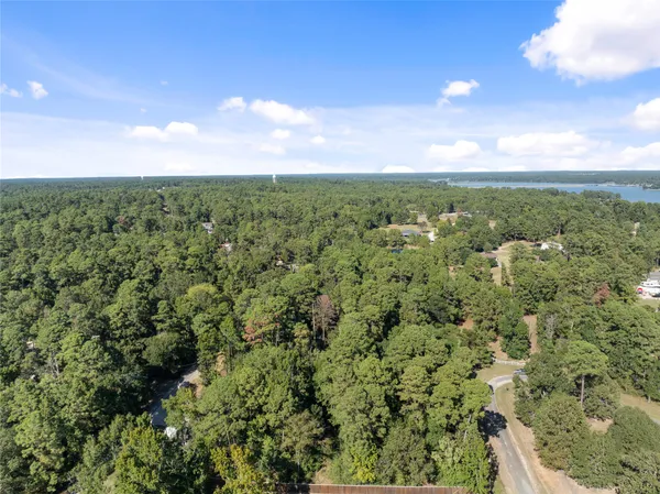 $99,000 | Tbd Sandy Shores, Onalaska, TX 77360