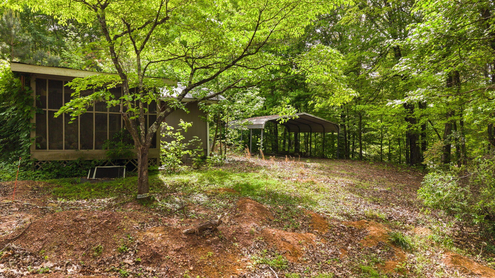 3414 No Pone Road Northwest Georgetown, TN 37336 - Photo 6 of 30 a backyard of a house with lots of green space