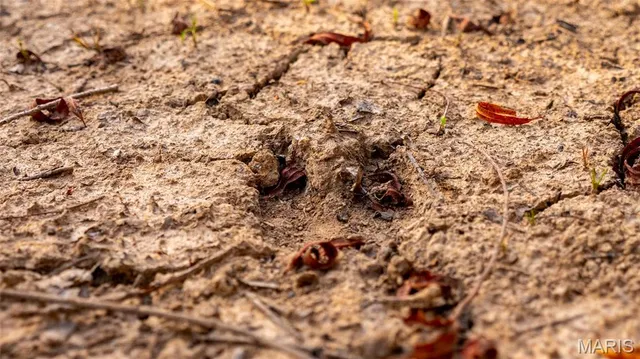 $1,275,000 | 0 Country Farm Road, Beaufort, MO 63013