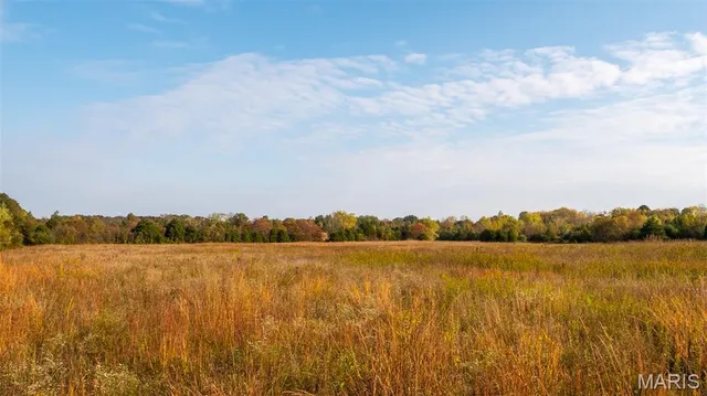 $1,275,000 | 0 Country Farm Road, Beaufort, MO 63013