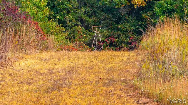 $1,275,000 | 0 Country Farm Road, Beaufort, MO 63013