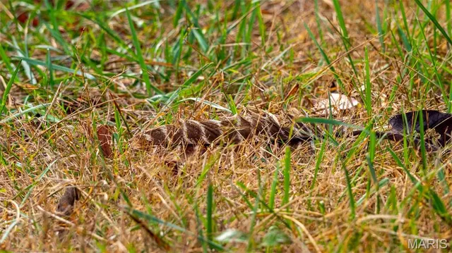 $1,275,000 | 0 Country Farm Road, Beaufort, MO 63013