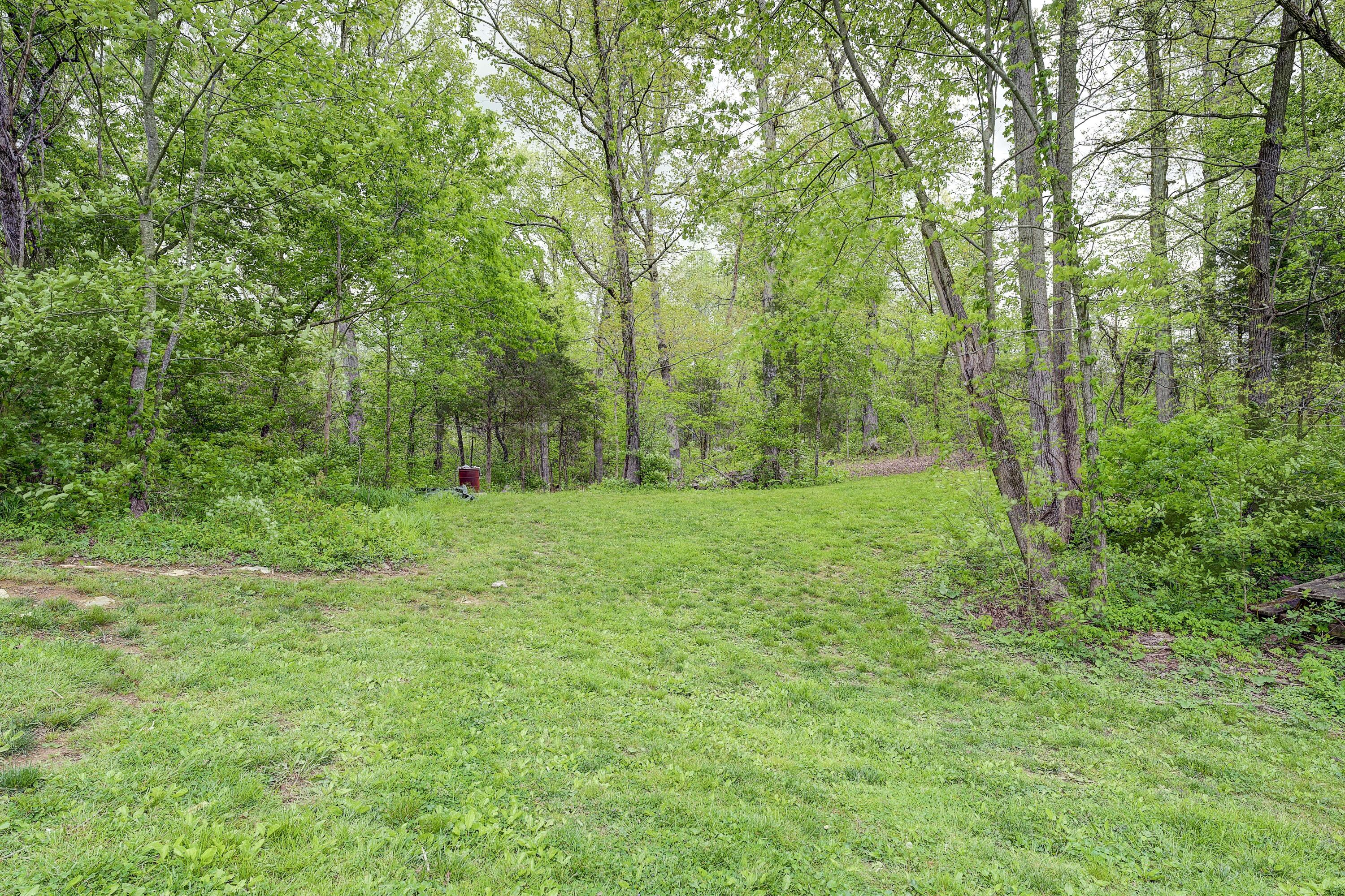 1328 Walnut Grove Road Bluff City, TN 37618 - Photo 48 of 63 Walnut-50