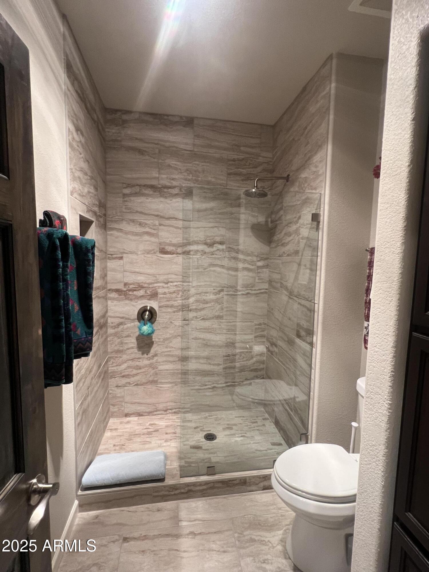 3473 High Country Drive Heber, AZ 85928 - Photo 20 of 38 a bathroom with a toilet and a shower