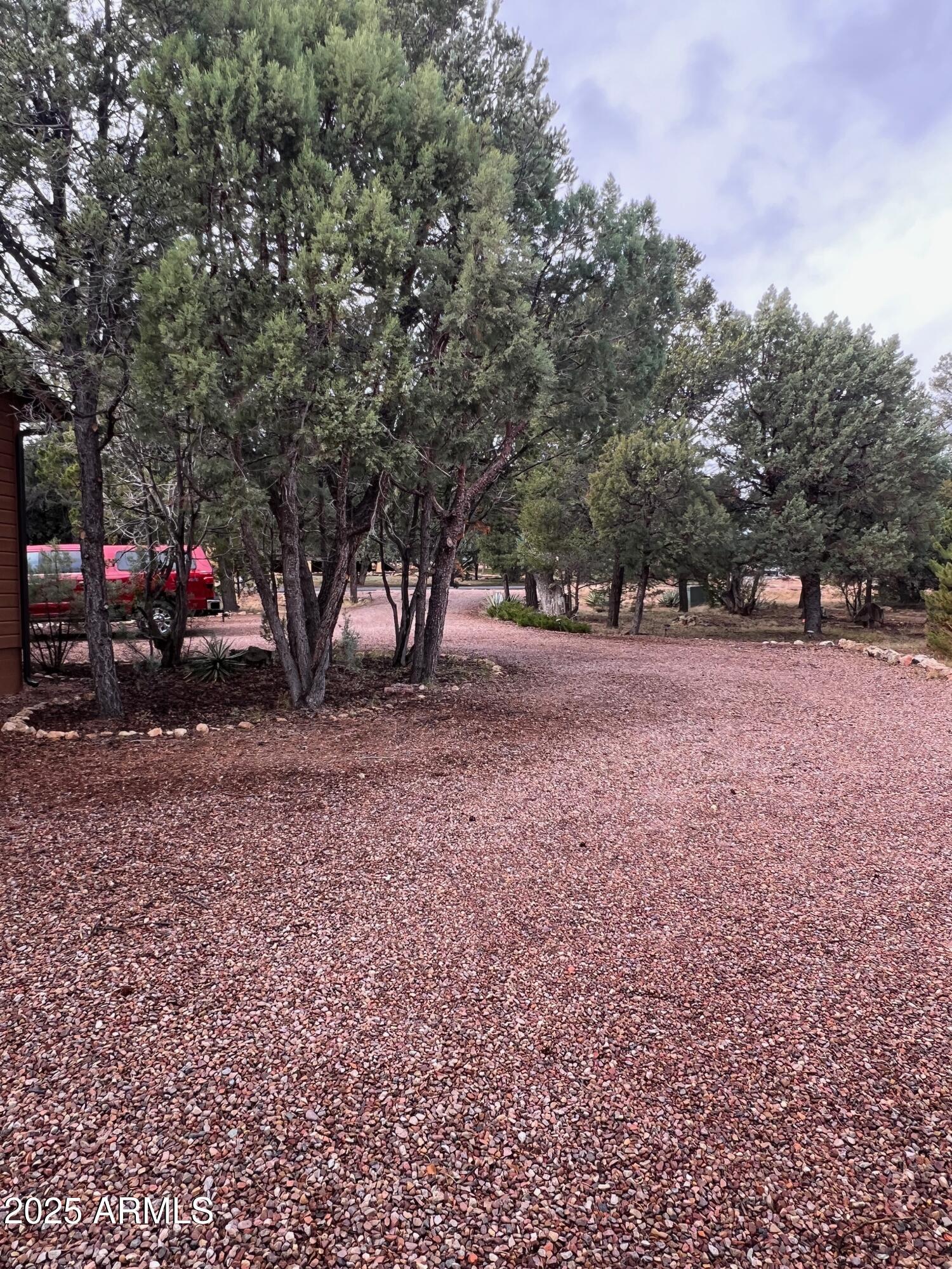 3473 High Country Drive Heber, AZ 85928 - Photo 30 of 38 a view of empty yard with trees