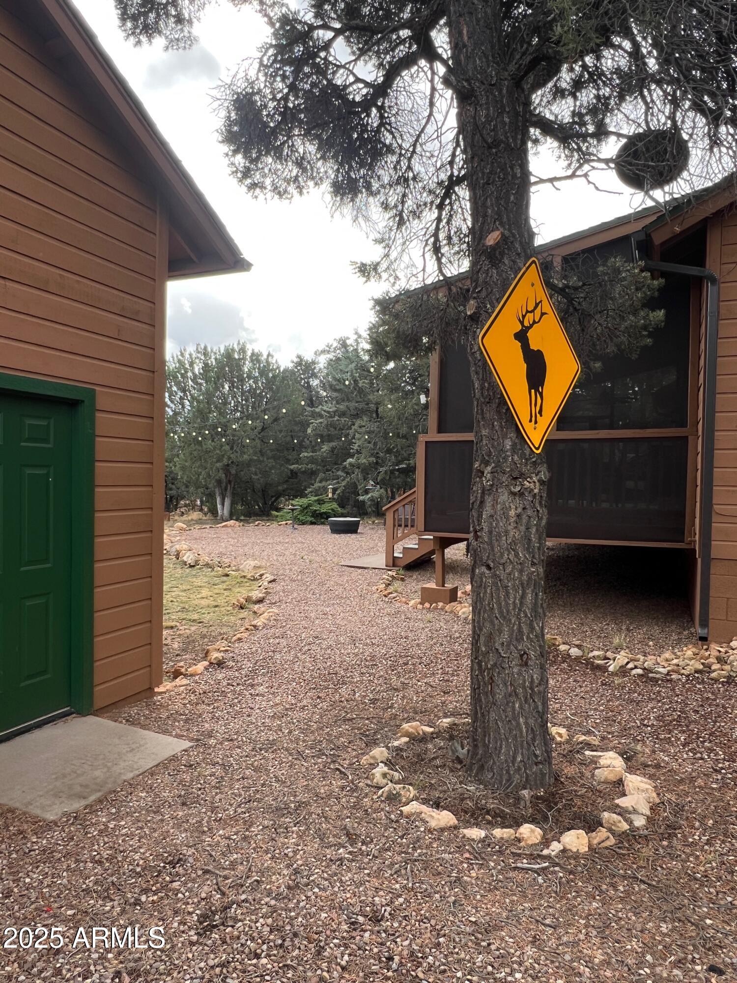3473 High Country Drive Heber, AZ 85928 - Photo 32 of 38 a backyard of a house with lots of green space