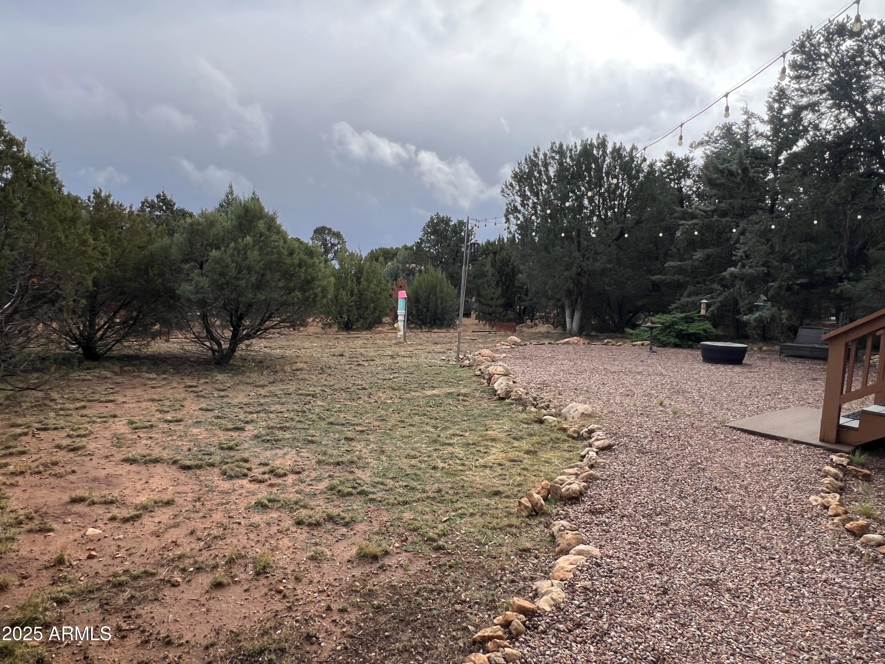3473 High Country Drive Heber, AZ 85928 - Photo 36 of 38 a view of dirt yard with a large tree