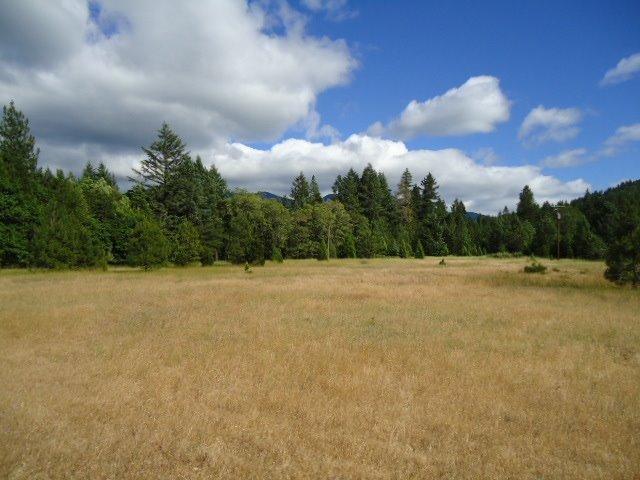 715 Thompson Creek Road Selma, OR 97538 - Photo 8 of 8 Additional Photo