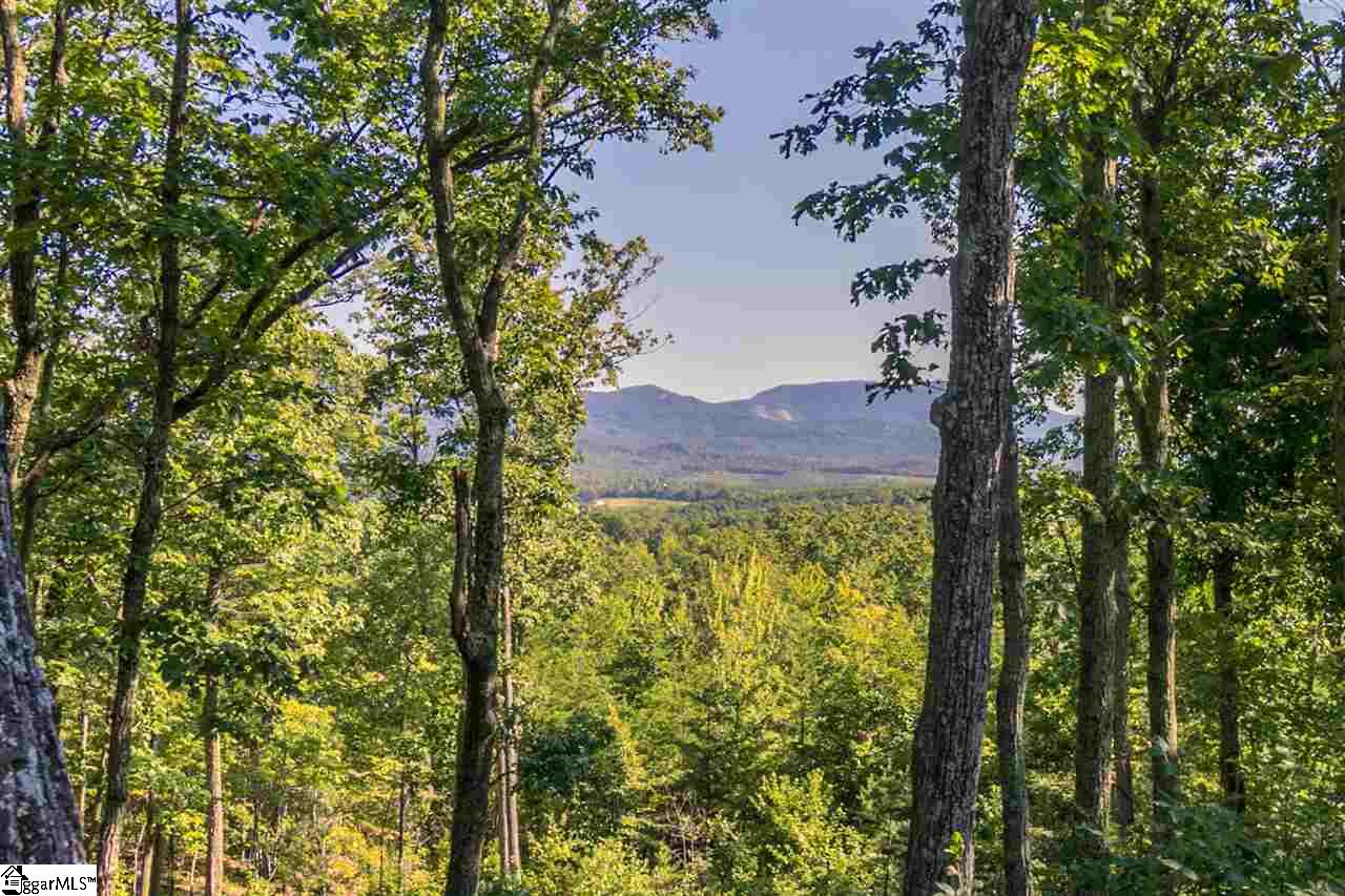 78 Packs Mountain Ridge Road Taylors, SC 29687 - Photo 2 of 35