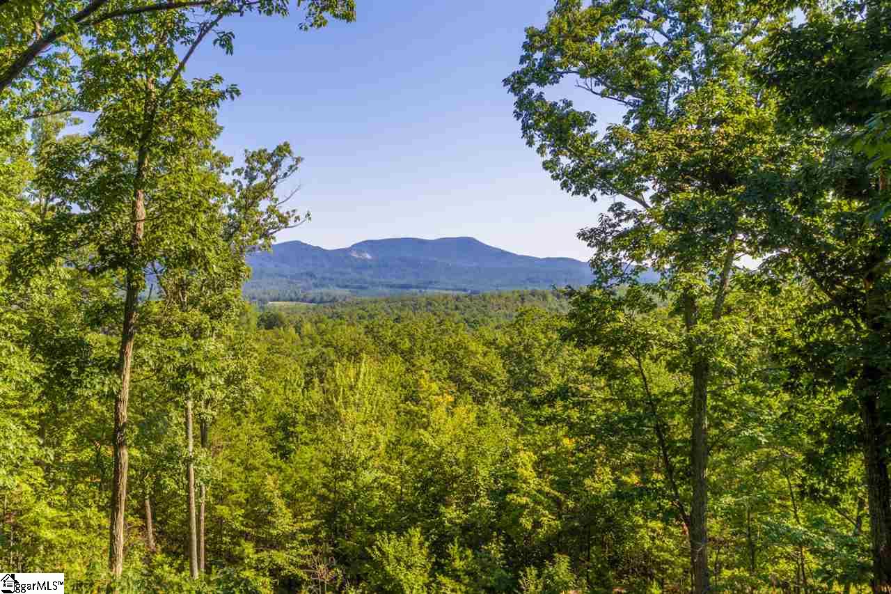 78 Packs Mountain Ridge Road Taylors, SC 29687 - Photo 11 of 35