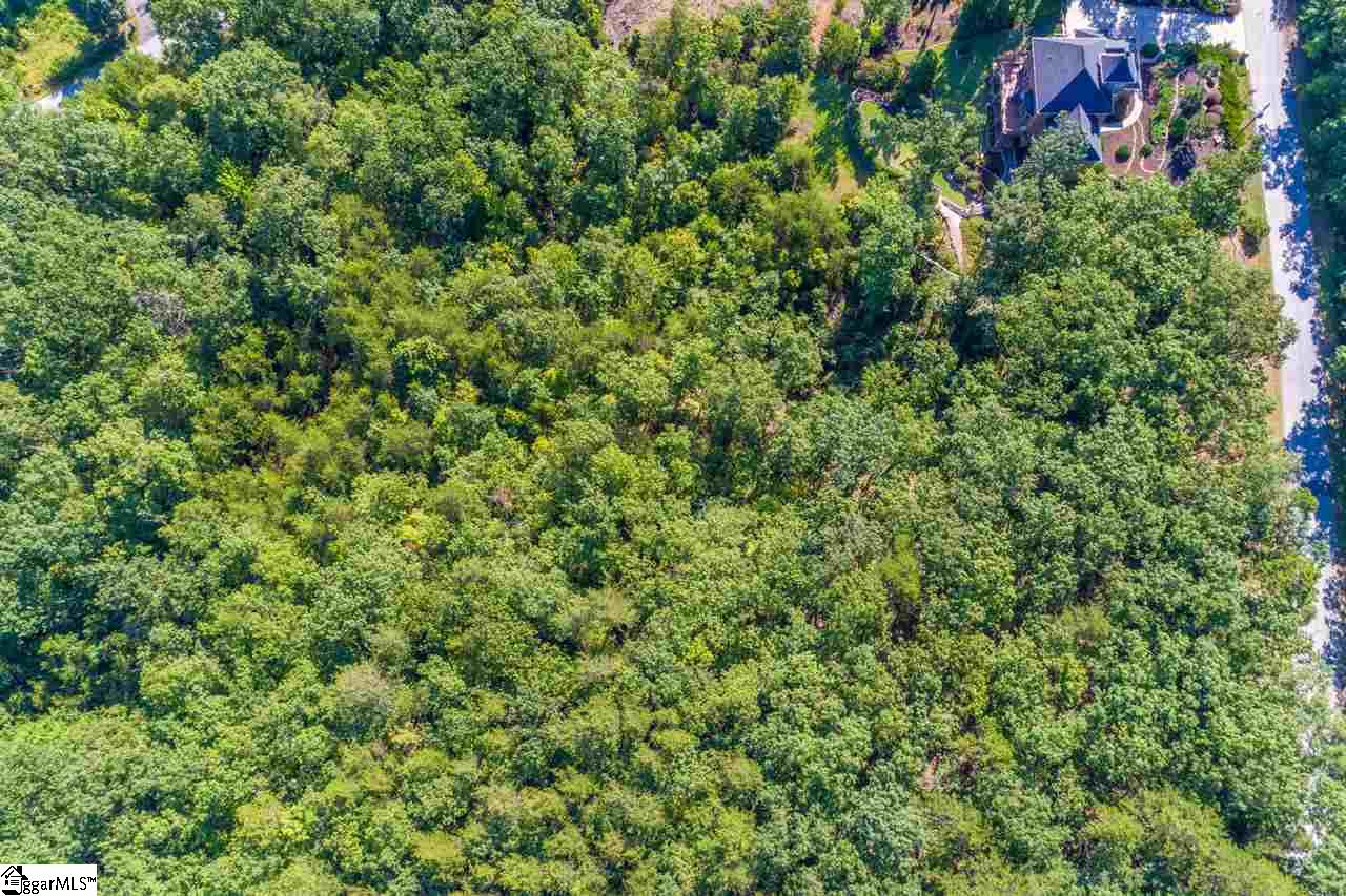 78 Packs Mountain Ridge Road Taylors, SC 29687 - Photo 20 of 35