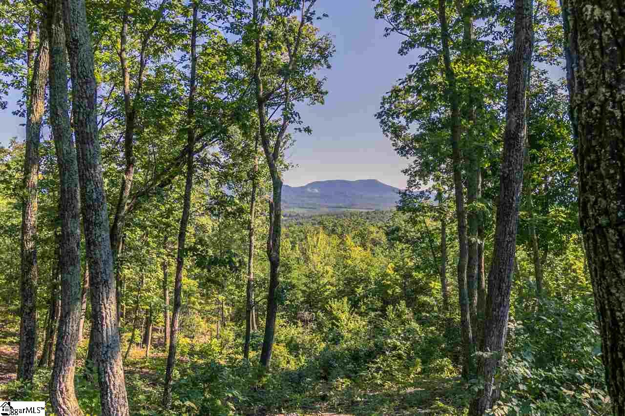 78 Packs Mountain Ridge Road Taylors, SC 29687 - Photo 3 of 35
