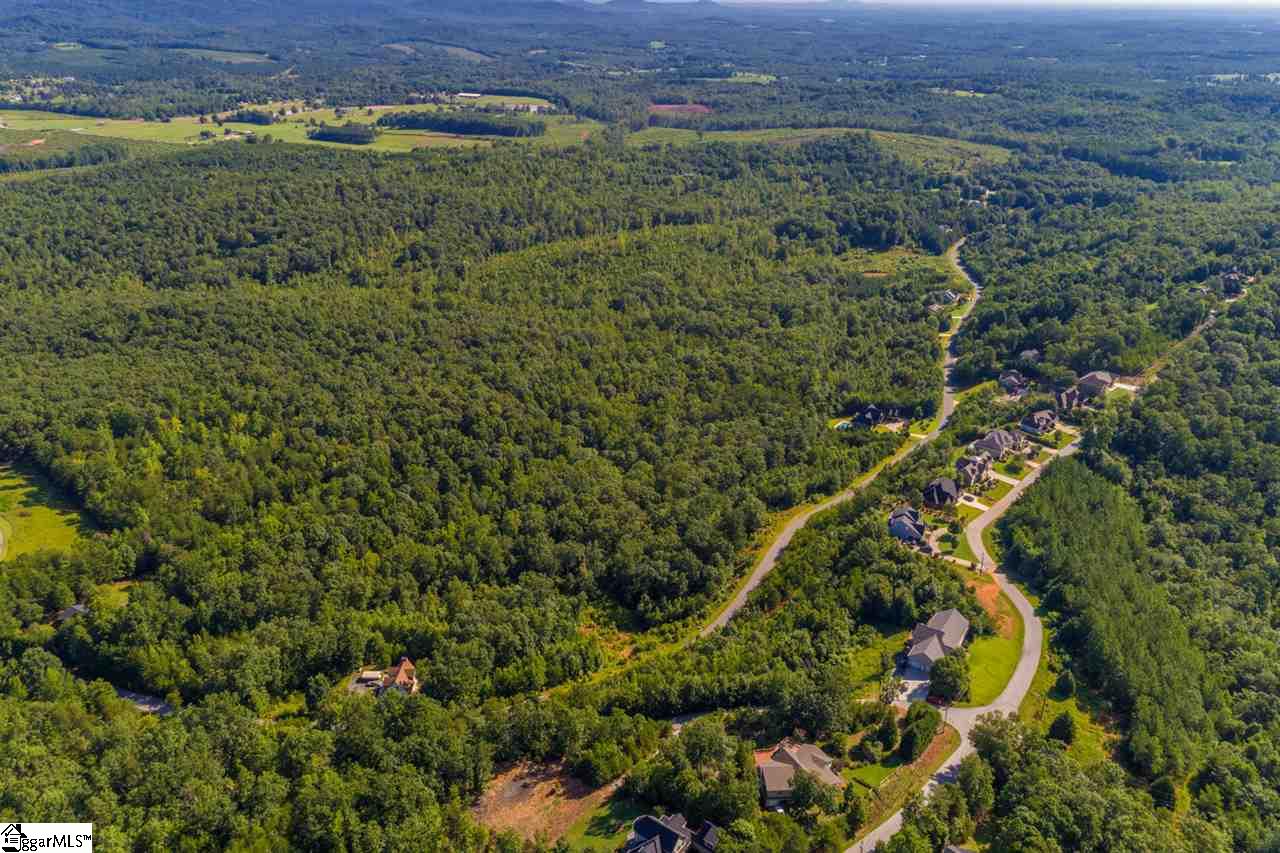 78 Packs Mountain Ridge Road Taylors, SC 29687 - Photo 21 of 35