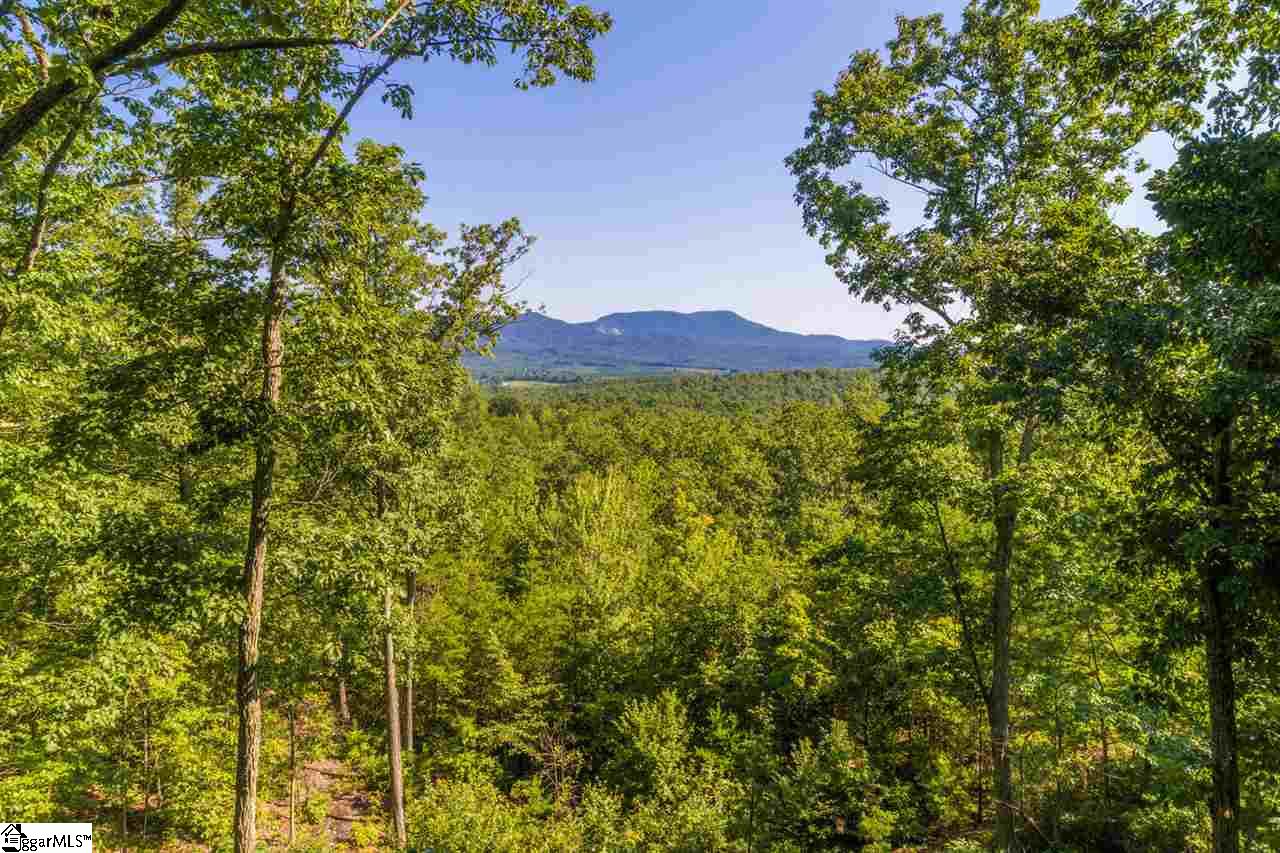 78 Packs Mountain Ridge Road Taylors, SC 29687 - Photo 22 of 35