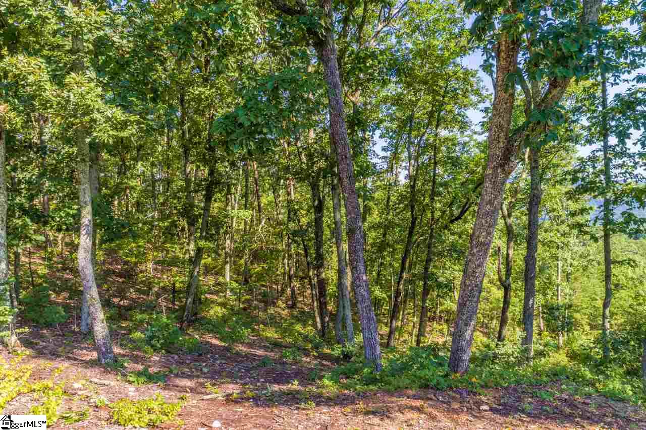 78 Packs Mountain Ridge Road Taylors, SC 29687 - Photo 25 of 35