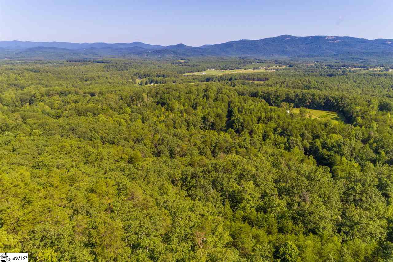 78 Packs Mountain Ridge Road Taylors, SC 29687 - Photo 27 of 35