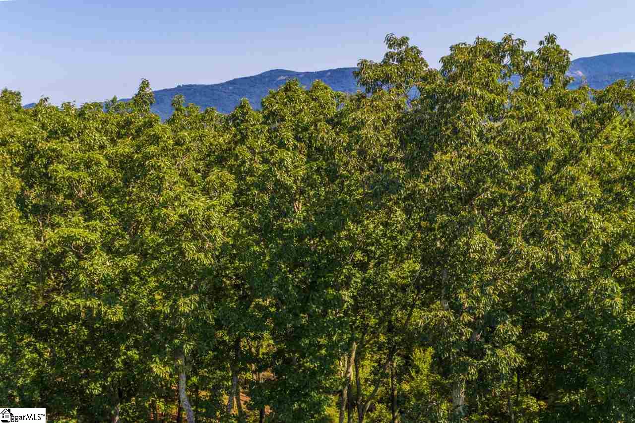 78 Packs Mountain Ridge Road Taylors, SC 29687 - Photo 30 of 35