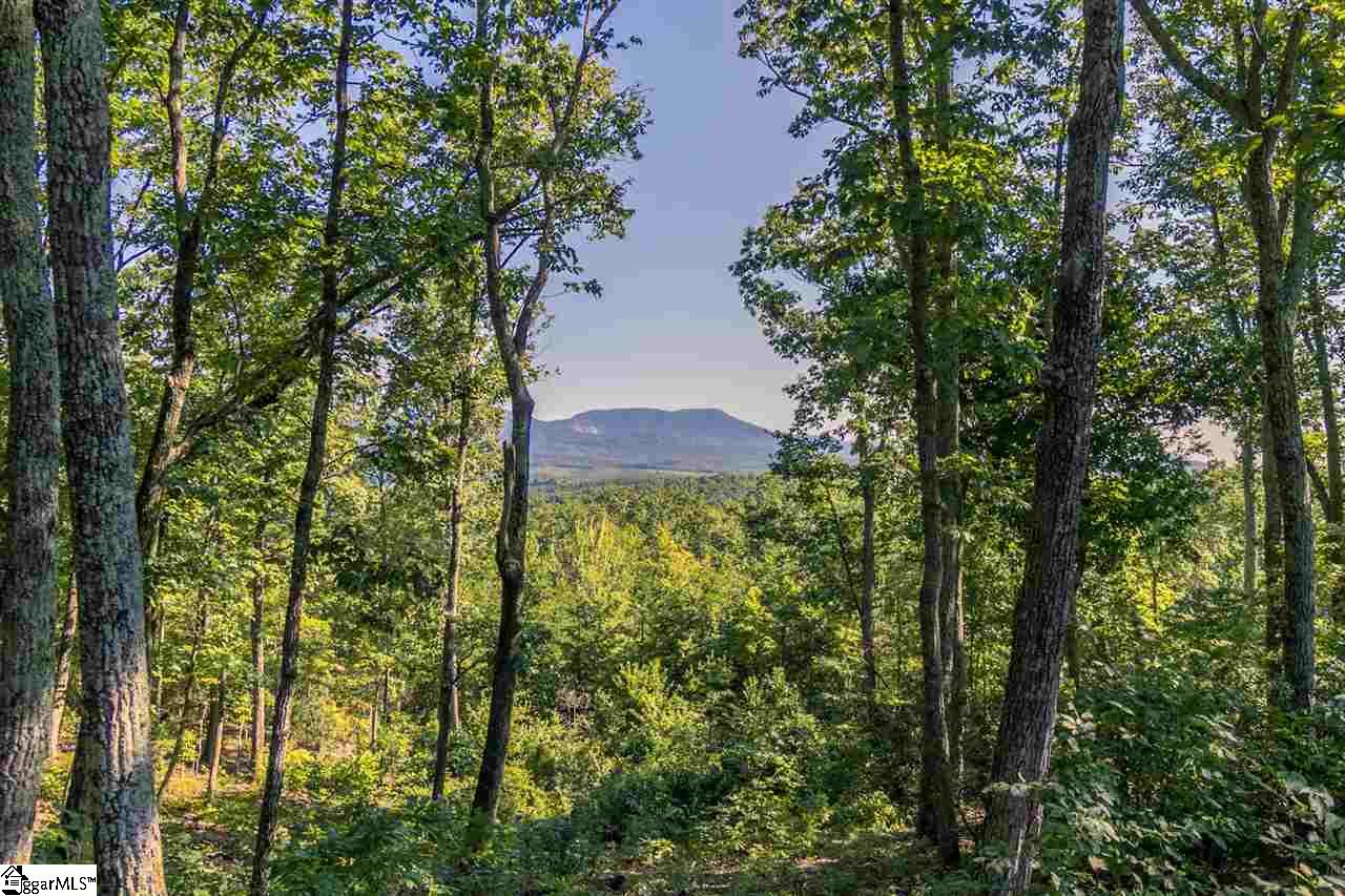 78 Packs Mountain Ridge Road Taylors, SC 29687 - Photo 4 of 35
