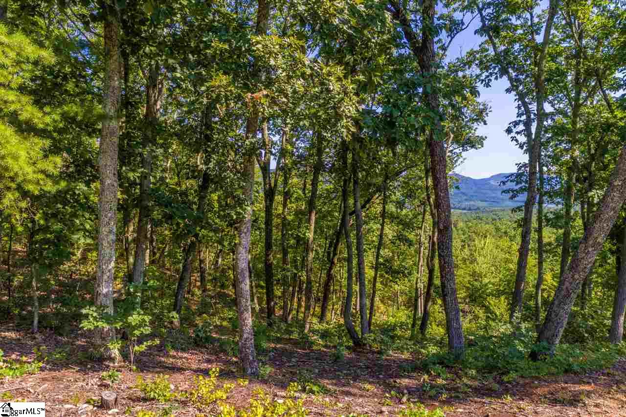 78 Packs Mountain Ridge Road Taylors, SC 29687 - Photo 33 of 35