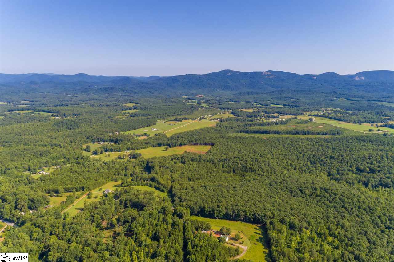 78 Packs Mountain Ridge Road Taylors, SC 29687 - Photo 5 of 35