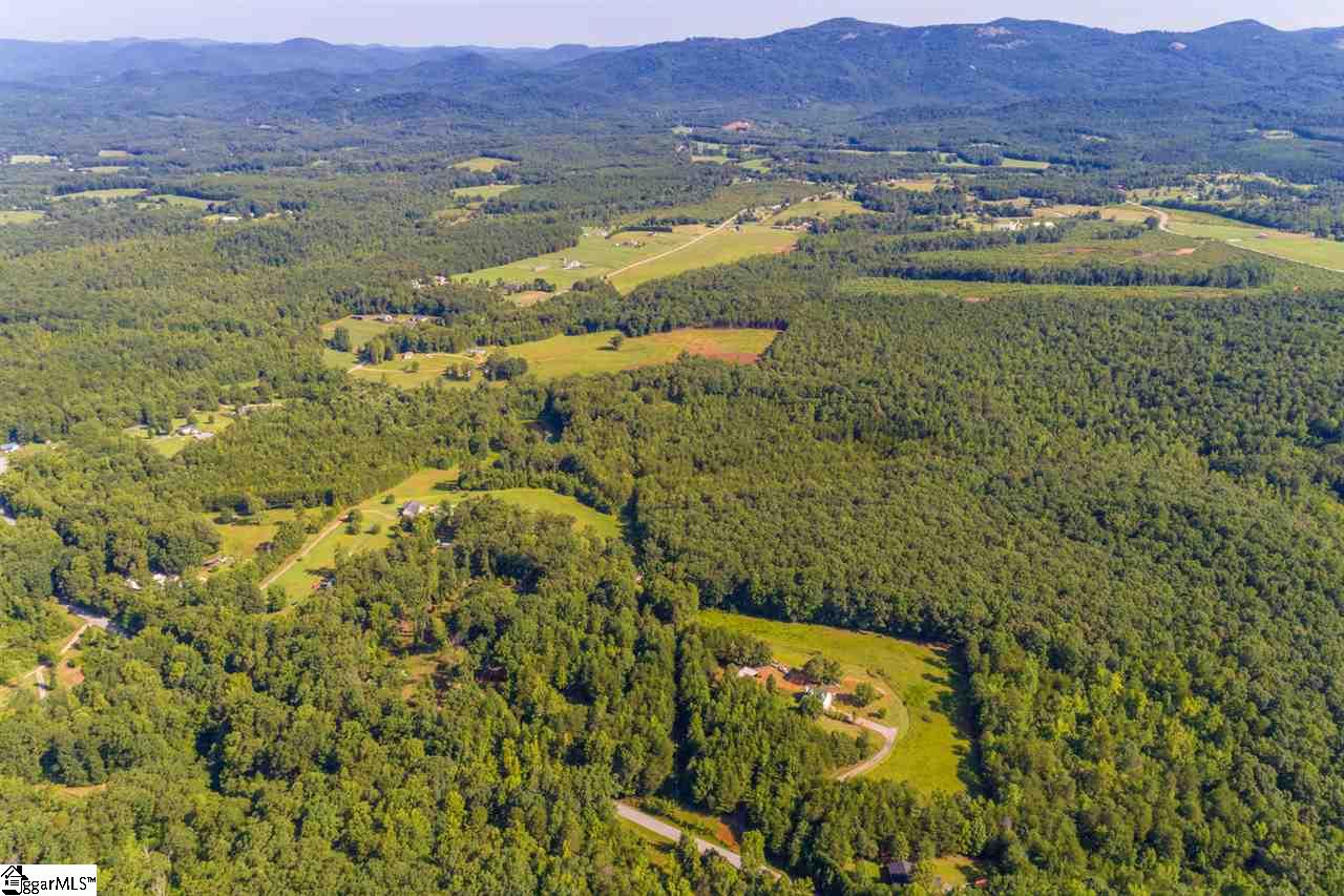 78 Packs Mountain Ridge Road Taylors, SC 29687 - Photo 6 of 35