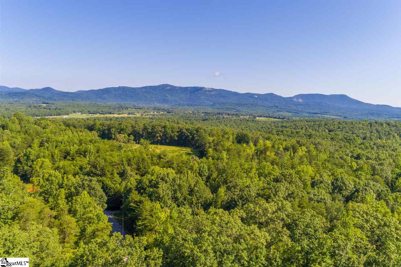 78 Packs Mountain Ridge Road Taylors, SC 29687 - Photo 10 of 35