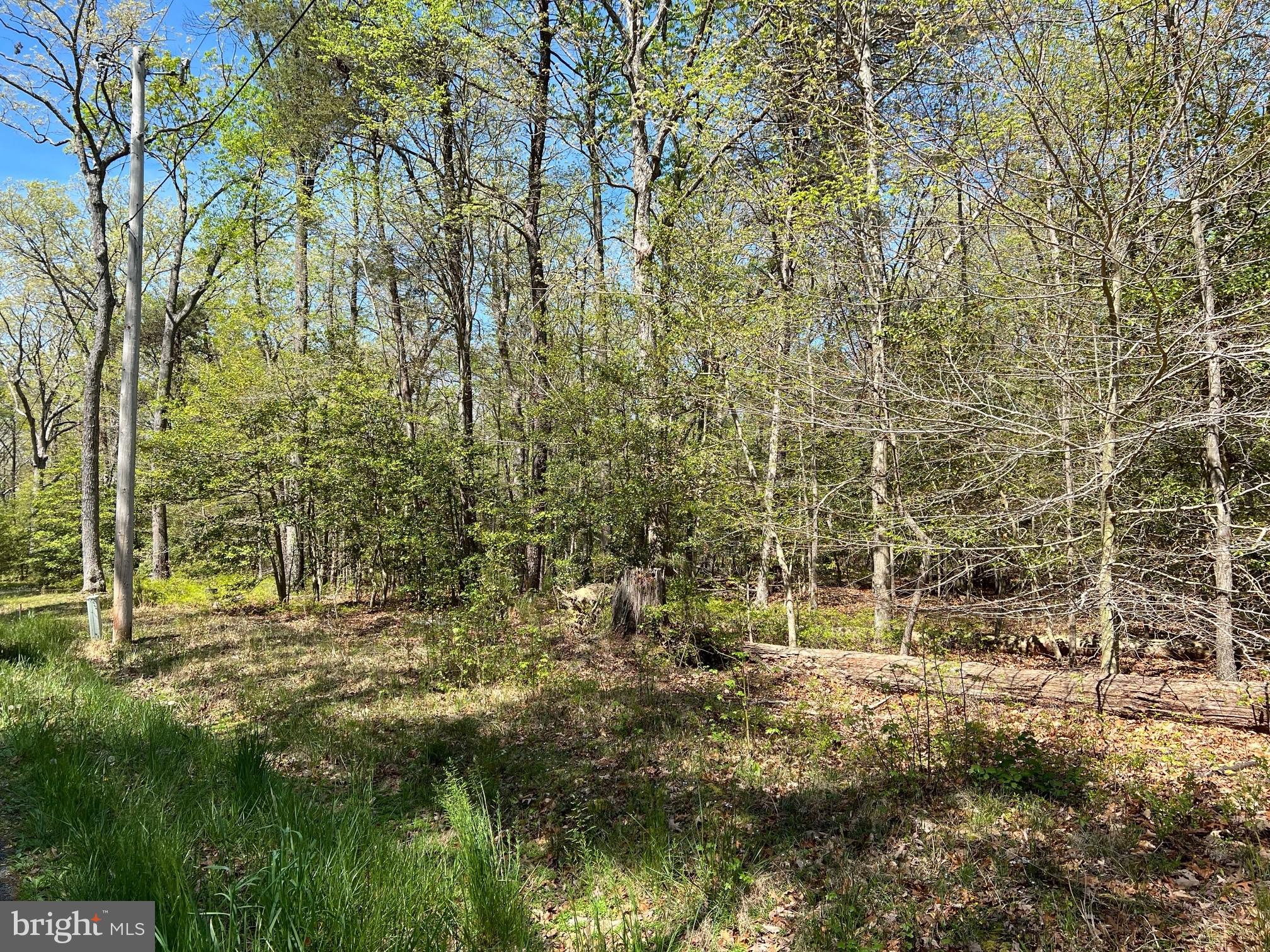 40410 Wathen Road Leonardtown, MD 20650 - Photo 1 of 7 Gallery Image 1