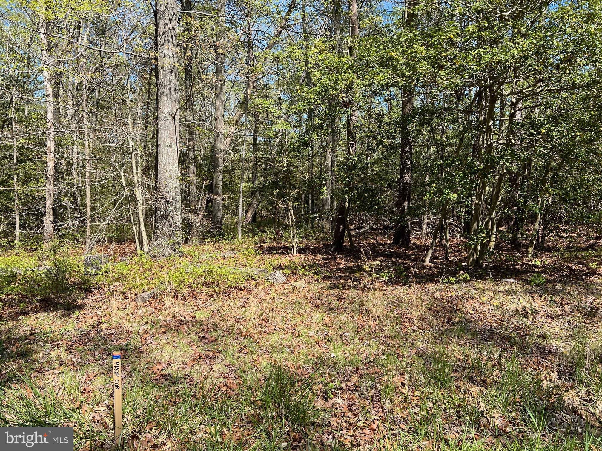 40410 Wathen Road Leonardtown, MD 20650 - Photo 2 of 7 Gallery Image 2