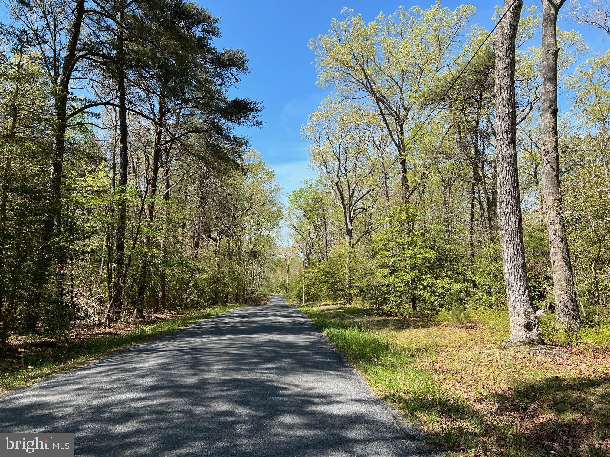 40410 Wathen Road Leonardtown, MD 20650 - Photo 4 of 7 Gallery Image 4