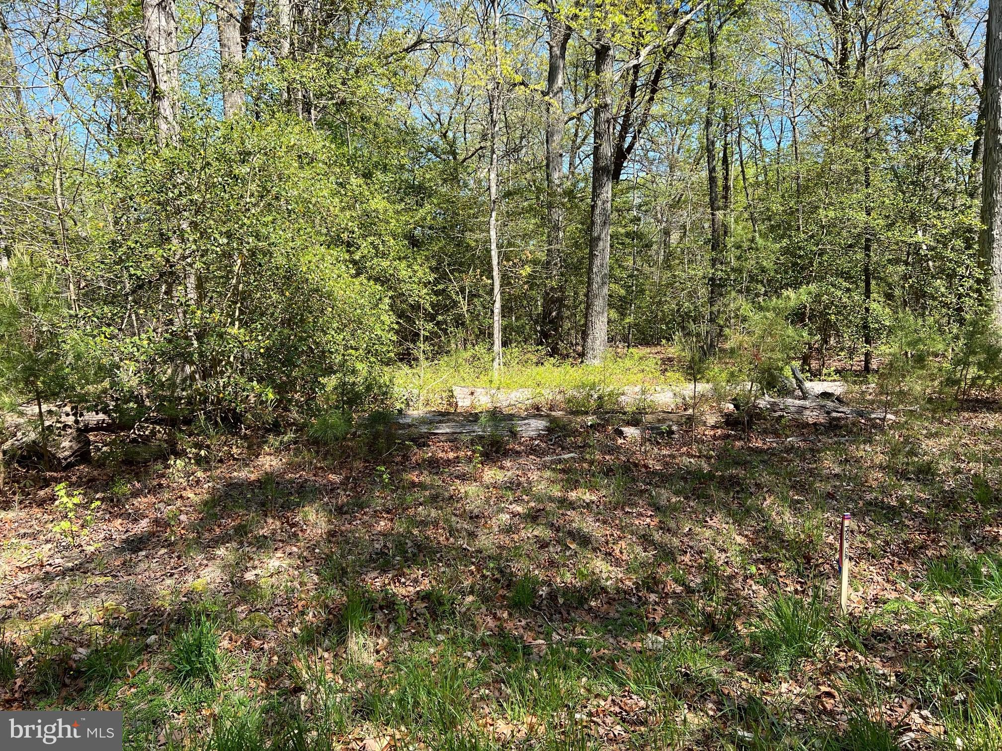 40410 Wathen Road Leonardtown, MD 20650 - Photo 5 of 7 Gallery Image 5