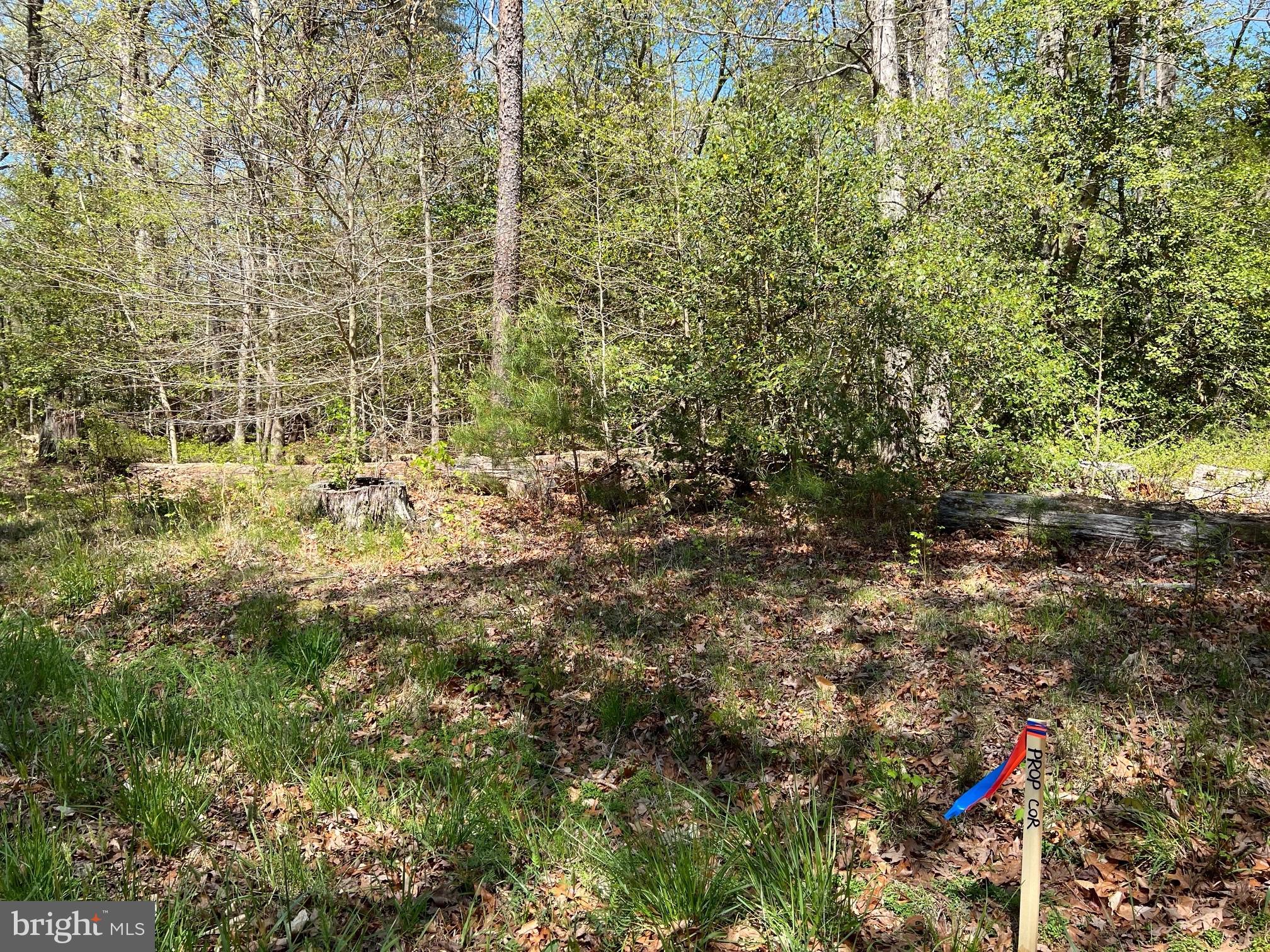 40410 Wathen Road Leonardtown, MD 20650 - Photo 6 of 7 Gallery Image 6