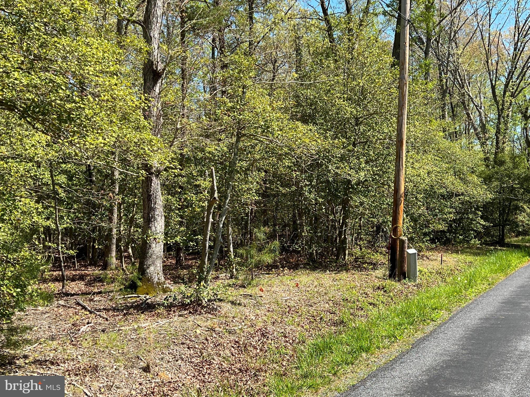 40410 Wathen Road Leonardtown, MD 20650 - Photo 7 of 7 Gallery Image 7