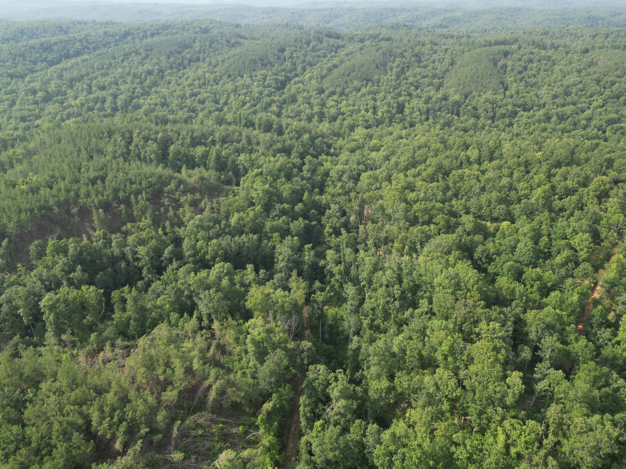 0 Toll Hollow Road Waynesboro, TN 38485 - Photo 40 of 43