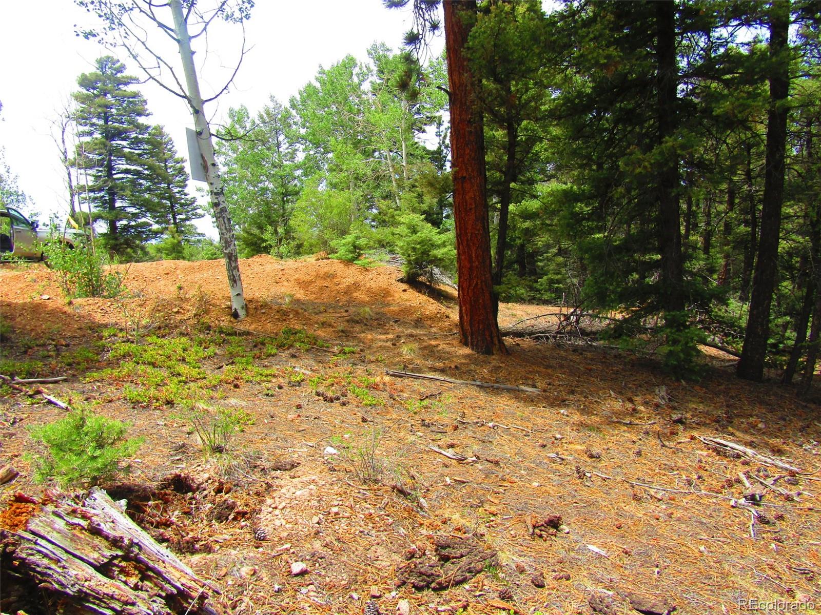 Lot 6028 Spruce Roads San Luis, CO 81152 - Photo 20 of 26