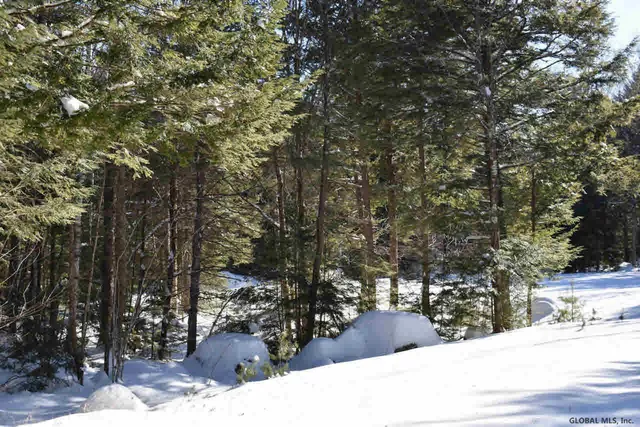 $37,500 | 60 Carriage Knolls Road, Chester, NY 12817