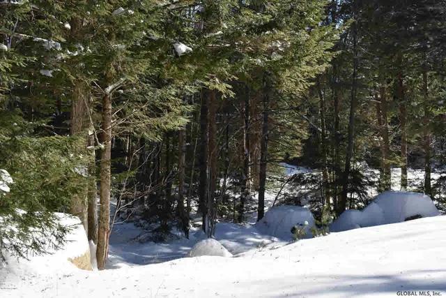 $37,500 | 60 Carriage Knolls Road, Chester, NY 12817