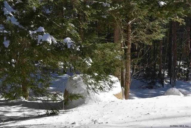 $37,500 | 60 Carriage Knolls Road, Chester, NY 12817