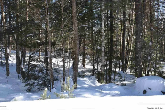 $37,500 | 60 Carriage Knolls Road, Chester, NY 12817