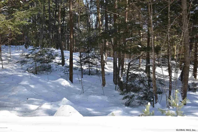 $37,500 | 60 Carriage Knolls Road, Chester, NY 12817