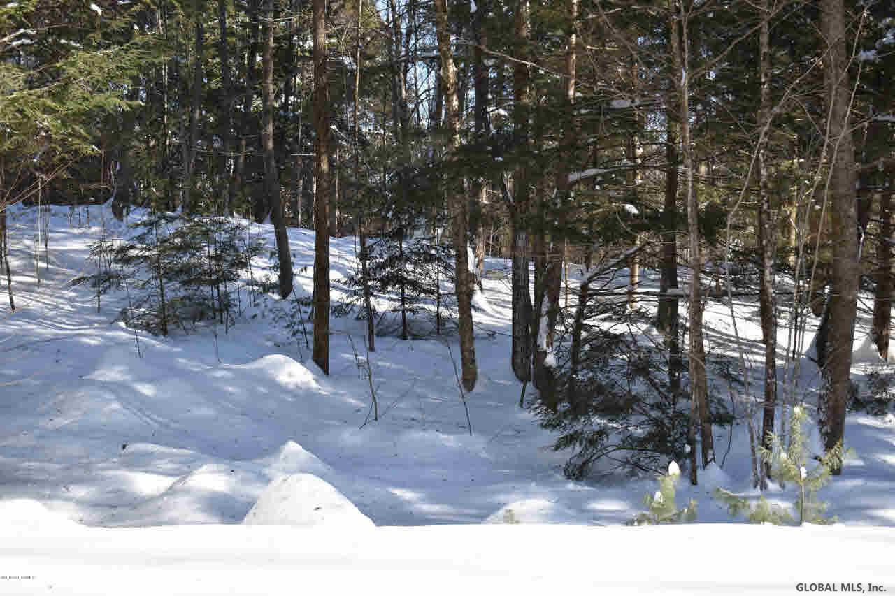 60 Carriage Knolls Road Chester, NY 12817 - Photo 17 of 22 Photo 17