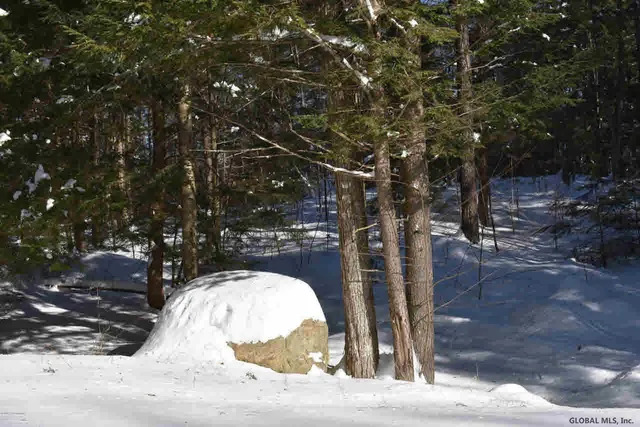 $37,500 | 60 Carriage Knolls Road, Chester, NY 12817