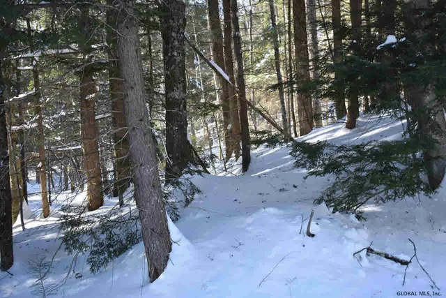 $37,500 | 60 Carriage Knolls Road, Chester, NY 12817