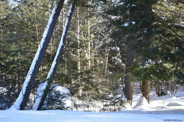 $37,500 | 60 Carriage Knolls Road, Chester, NY 12817