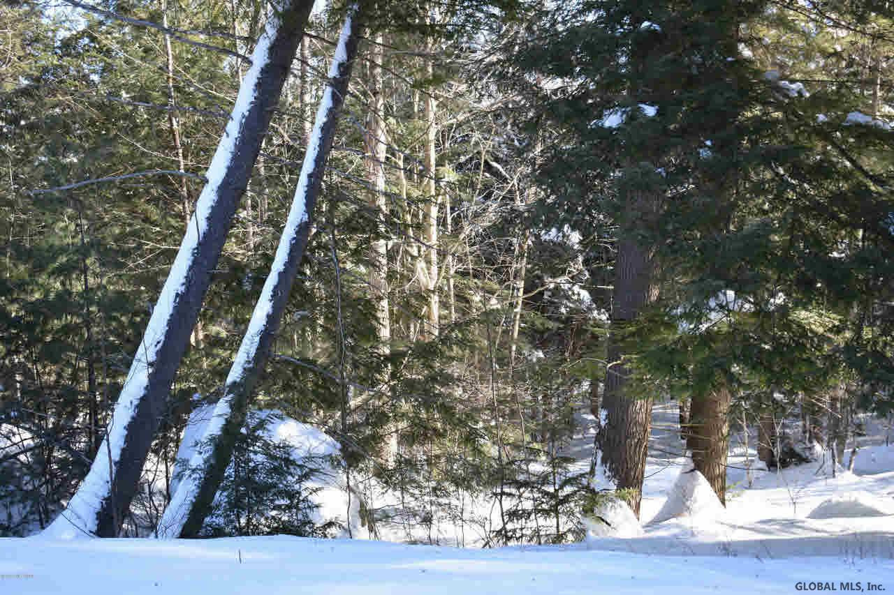 60 Carriage Knolls Road Chester, NY 12817 - Photo 21 of 22 Photo 21